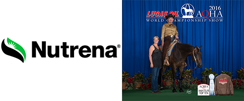 Episode 24 HR header