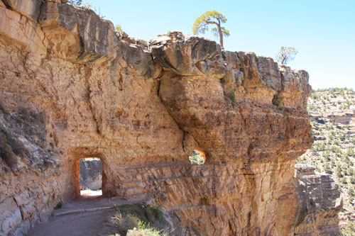 Explore the Grand Canyon promo image
