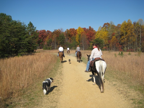 Fall Day Rides promo image