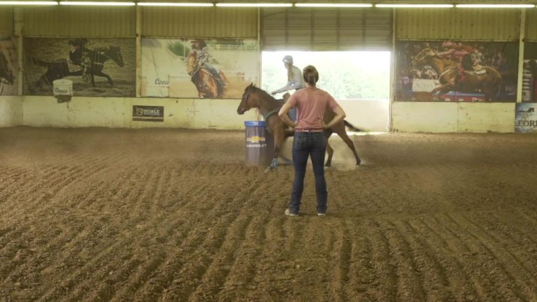 FallonTaylor_WAD_Spiral