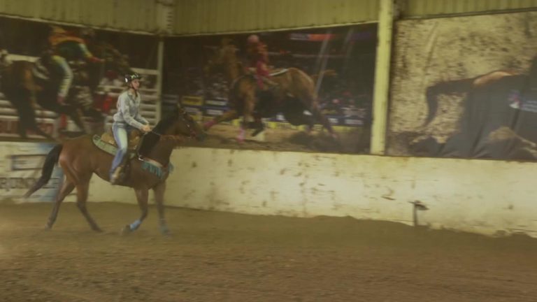FallonTaylor_WAD_Warmup