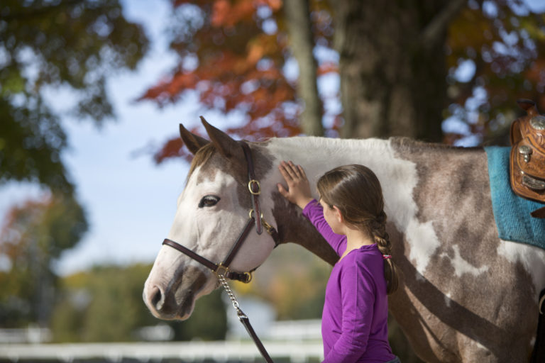 Young girl standing next to a paint horse.