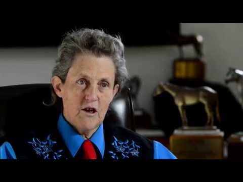 First of Its Kind: Temple Grandin Equine Center at CSU promo image
