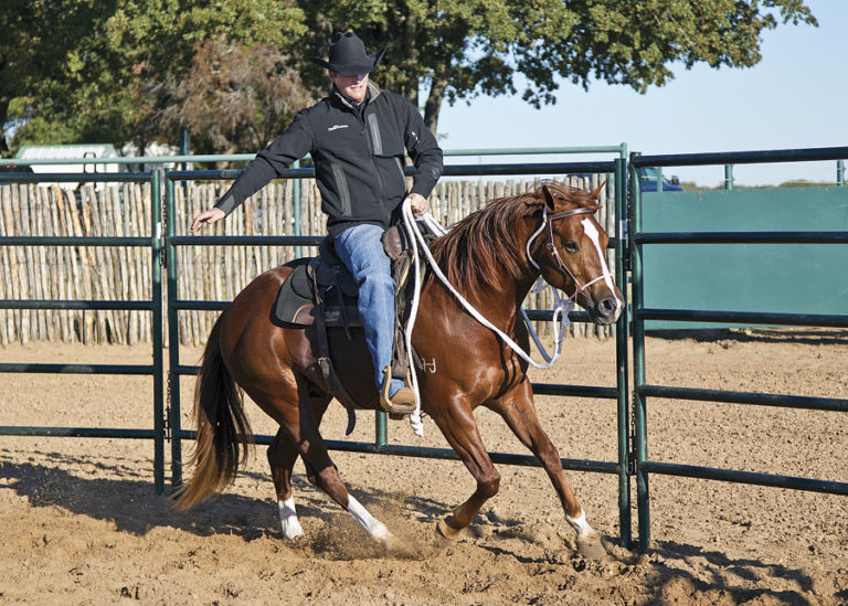 First Trot and Lope promo image