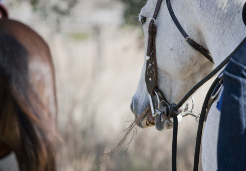 Fix a Grass-Grabber promo image