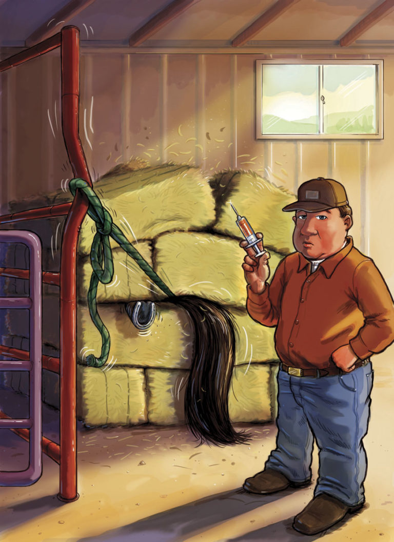 Fix Your Needle-Phobic Horse promo image