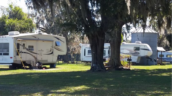 Florida Escape promo image