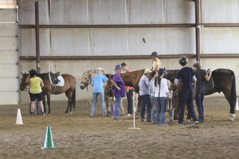 Gallop Poll: Donated a Therapy Horse? promo image