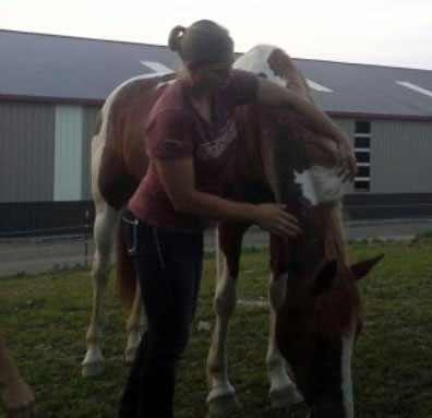 Gallop Poll: Rescued a Horse? promo image