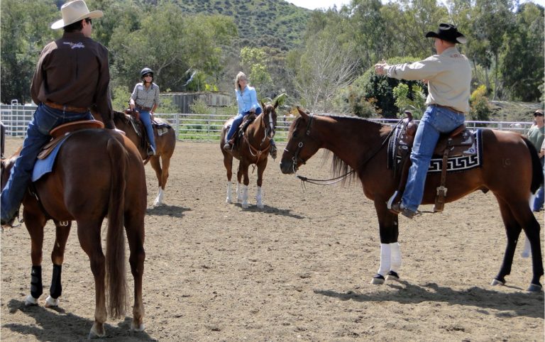 Gallop Poll: Ridden in a Clinic? promo image