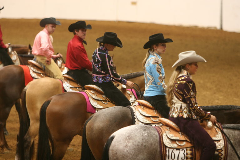 Gallop Poll: Showtime! promo image