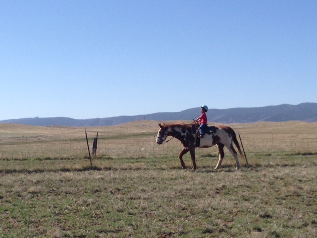 Gallop Poll: Take Riding Lessons promo image
