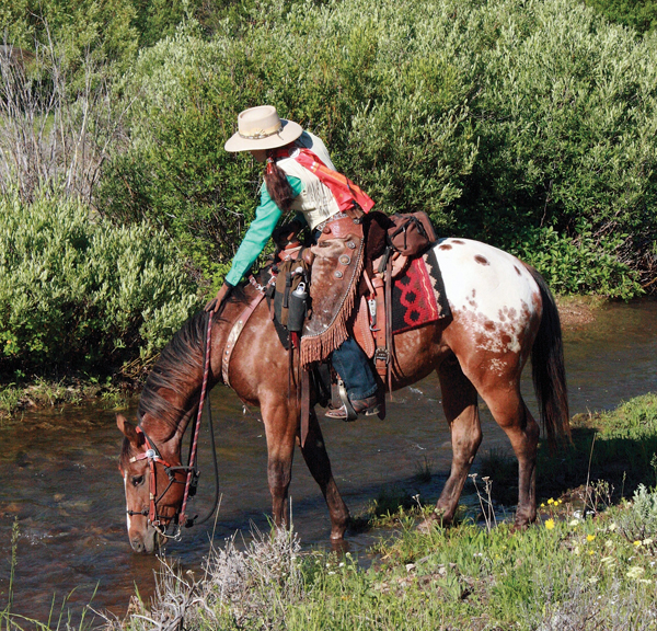 Gallop Poll: Trail Hazards? promo image