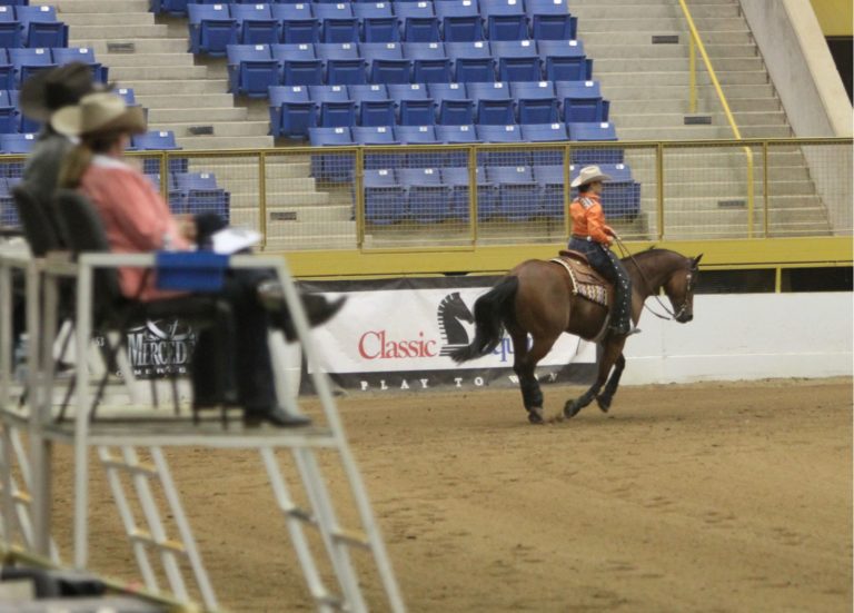 Gallop Poll: Where Do You Show? promo image