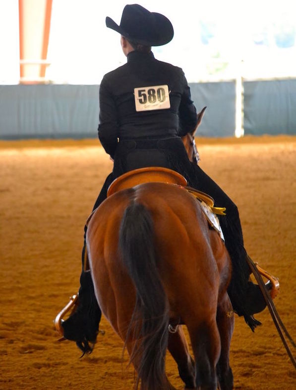 Gallop Poll: Your Competition Schedule? promo image