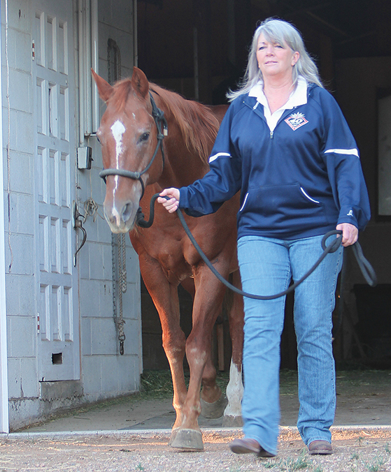 Gallop Poll: Your Horsekeeping Arrangement? promo image