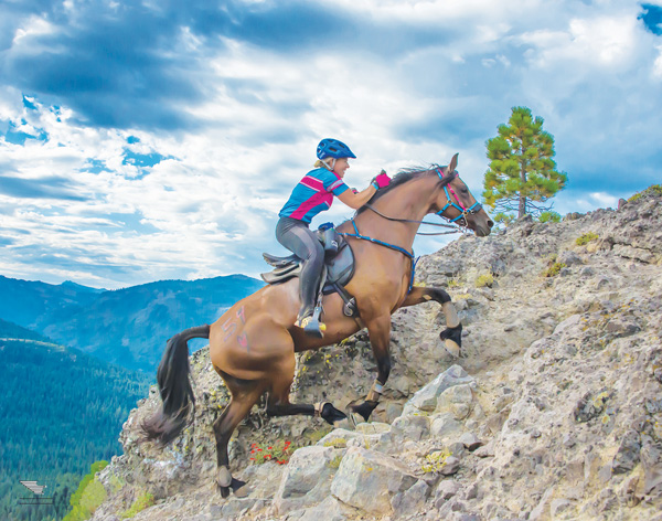 Going the Distance: Endurance Riding promo image