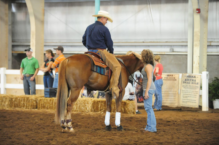 Have You Tried: Entry-Level Reining promo image