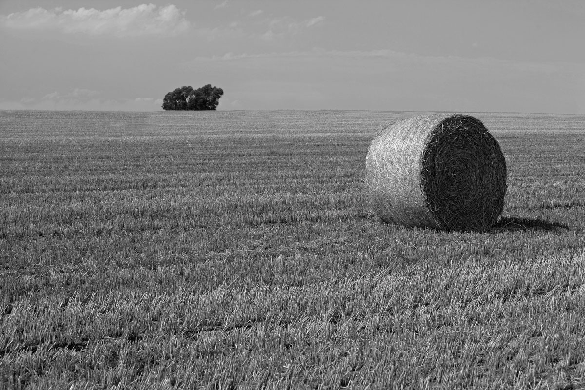 Straw Bales -  Singapore