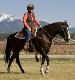 Healthy Horseman Wear Helmets promo image