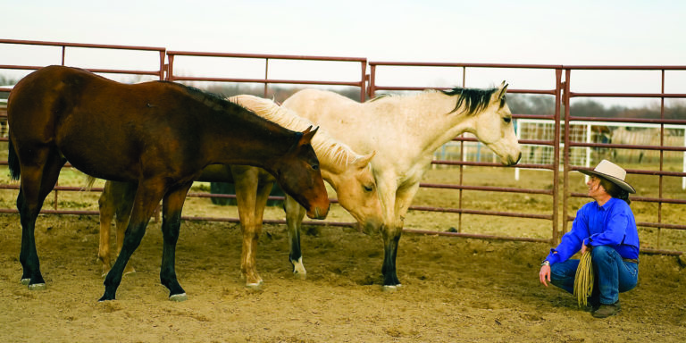 HORP-060600-DESMOND-03