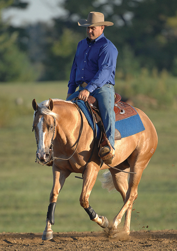 HORP-080100-FLARIDA-01