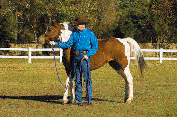 HORP-080900-CLINTON-01_beginning_session