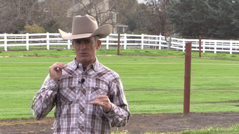 Horse and rider lopes too fast-Apple Devices HD (Best Quality) (1)