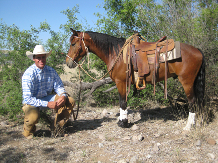Horse Breeds Trivia promo image