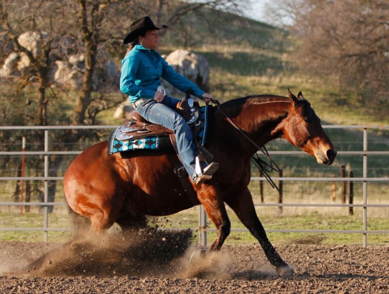 Horse-bridleless-riding-stop-blogfeb18tie