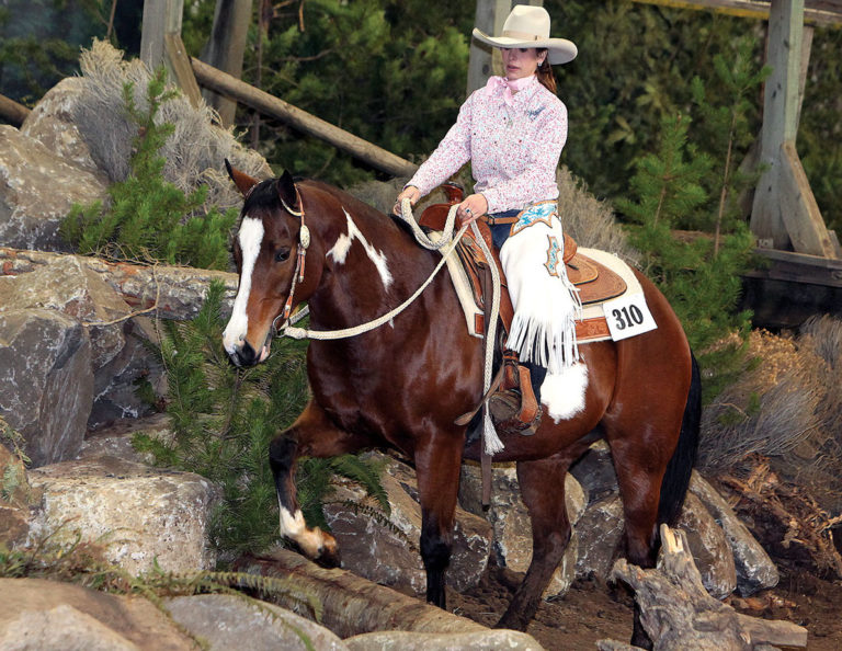 Horse-mountain-trail-gpaug18tie