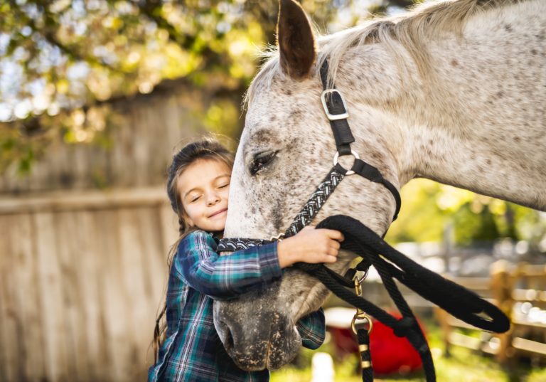 Horse-or-pony-for-first-horse-gpoct19