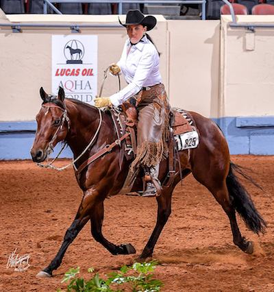 Horse-problem-avoid-insanity-denton-worldshow-blogjan18tie