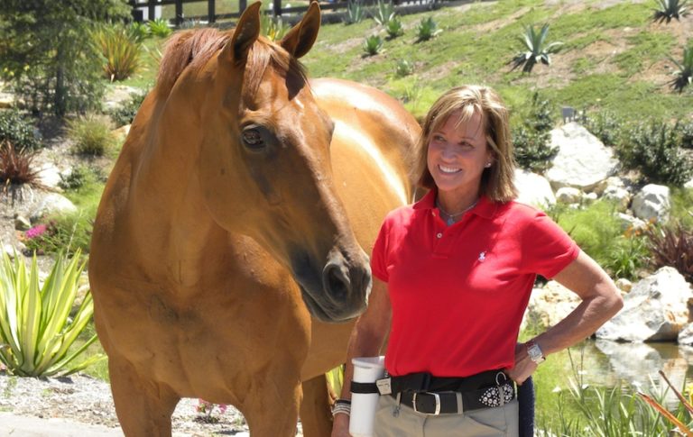 Horse-reward-based-training-blogapr18tie