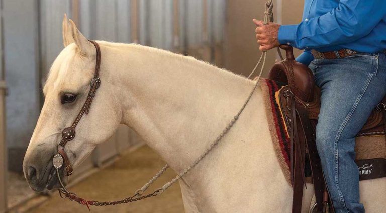 Horse-romal-reins-gpsept18tie