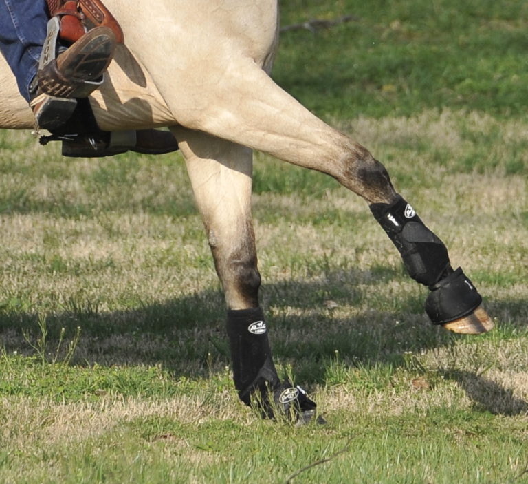 Horse-runaway-front-blogmay18tie