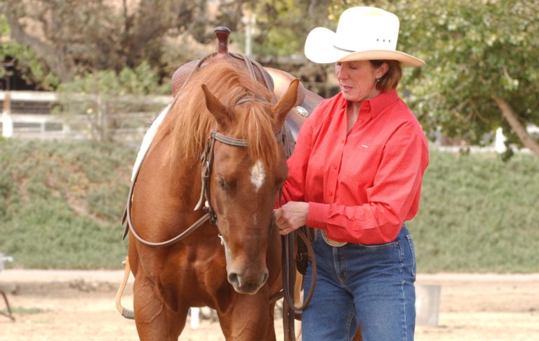 Horse-sensitive-hands-blogjune18tie-jpg