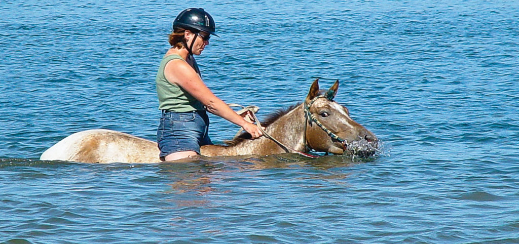 Horse-swim-safely-with-your-horse-blogMay120