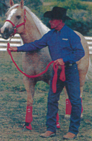 Horse Training: The Head-Down Cue promo image