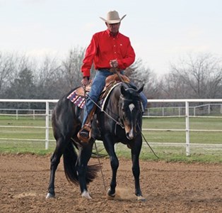 Horse Training: The Sidepass promo image