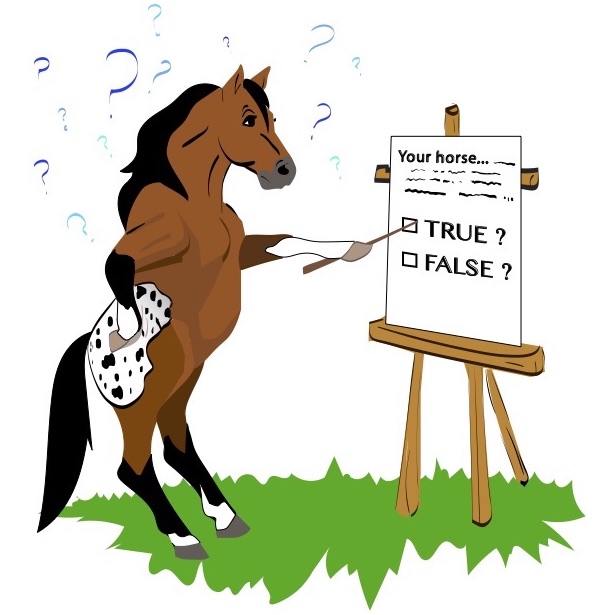 Horse-trivia-challenge-standing-art