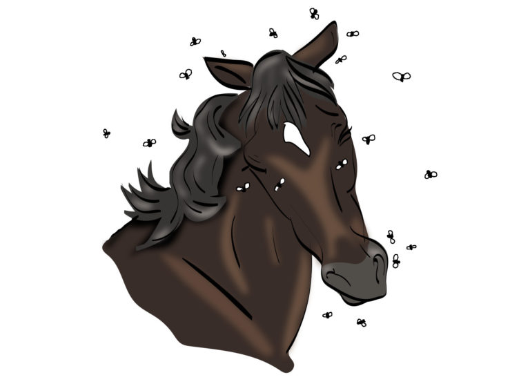 Horse-trivia-fly-protection-tcjune20