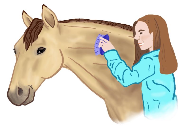 Horse-trivia-horsekeeping-tcaug18tie