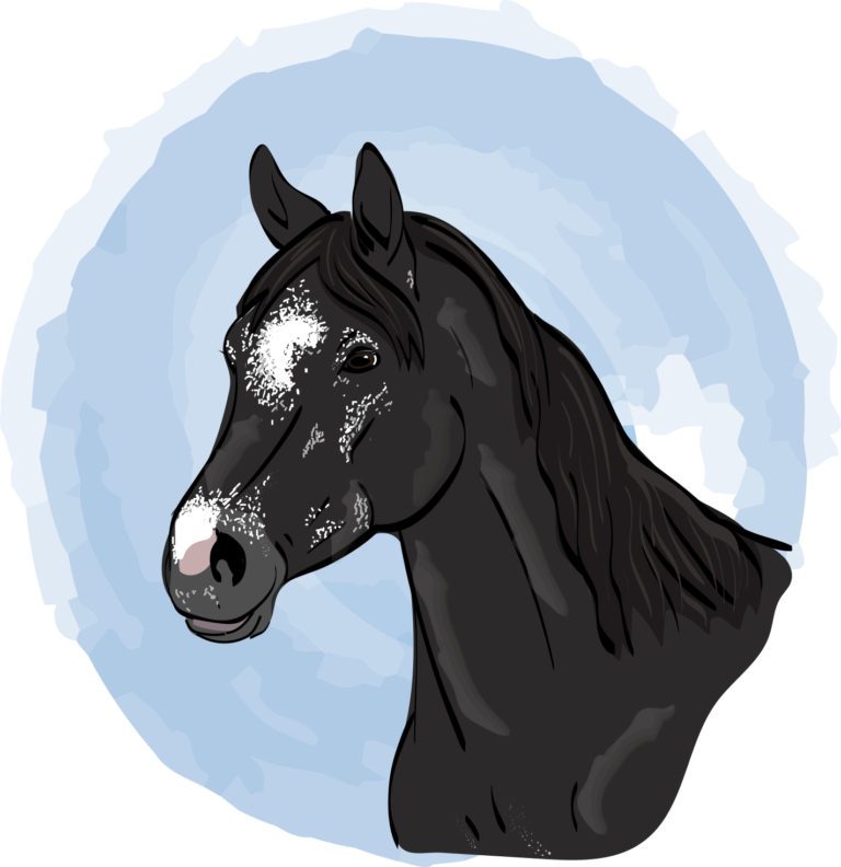 Horse-trivia-senior-horse-health-tcnov19
