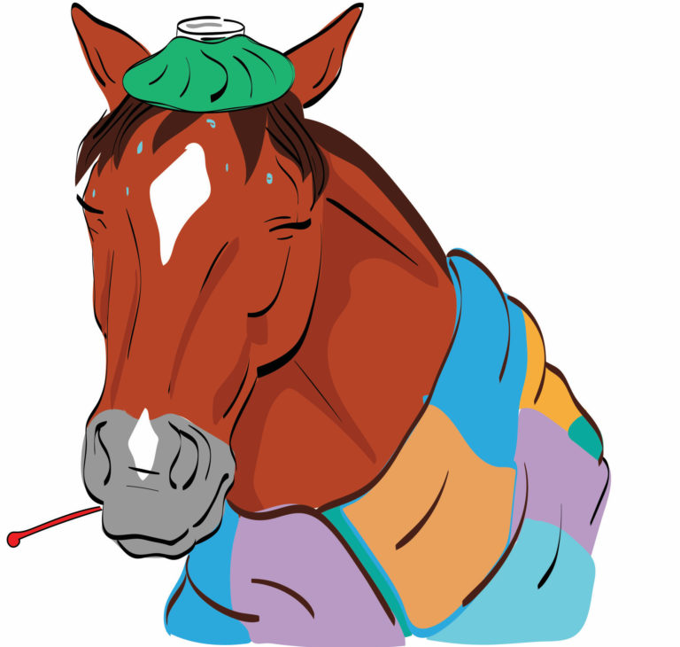 Horse-trivia-sick-horse-when-call-vet-tcapr20