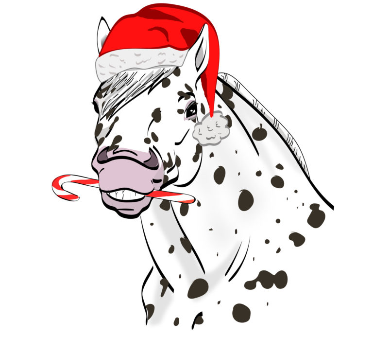 Horse-trivia-treats-for-horses-tcdec19