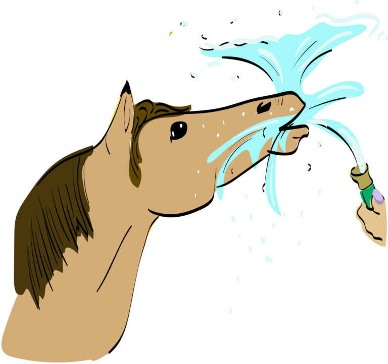 Horse-trivia-water-wise-hydration-tcaug19