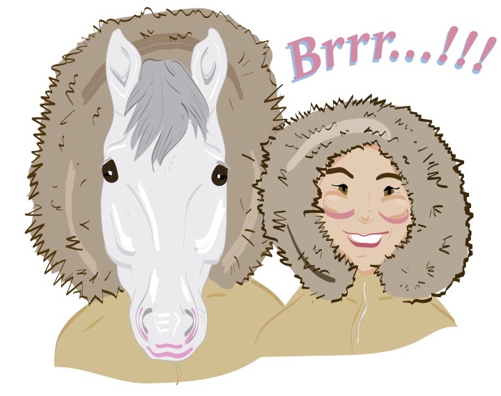 Horse-trivia-winter-riding-tips-tcnov18tie