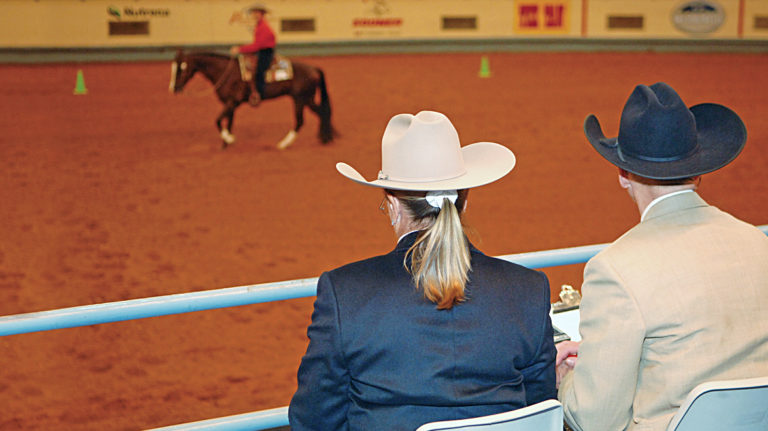 Horse-volunteer-gpaug19