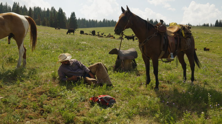 HORSE WEEK_KENT_SEMPER FI_DAY 2_SELECTS.02_18_56_20